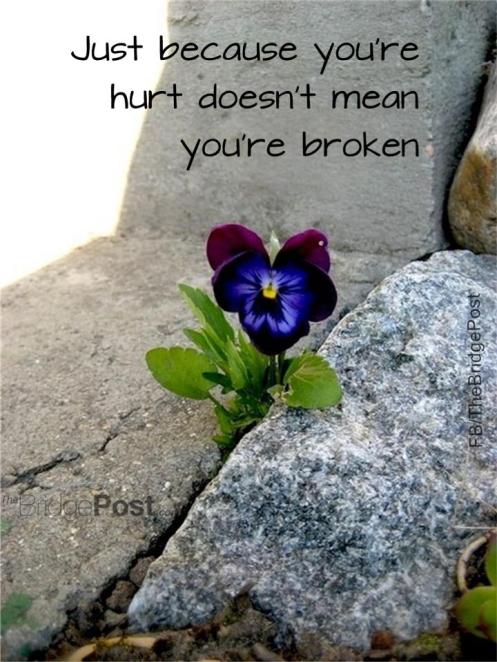 310329_337547236335274_417182328_n